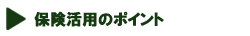 �ی����p�̃|�C���g